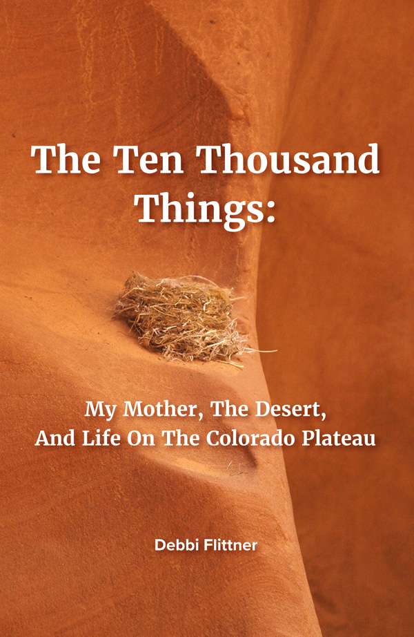 Book cover for The Ten Thousand Questions: My Mother, the Desert, and Life on the Colorado Plateau, By Debbi Flittner. Featured is a photo, taken by Debbi, of bird's nest resting on a red rock ledge in the shaded sanctuary of a slot canyon in Antelope Canyon in the Arizona desert on the Navajo reservation.