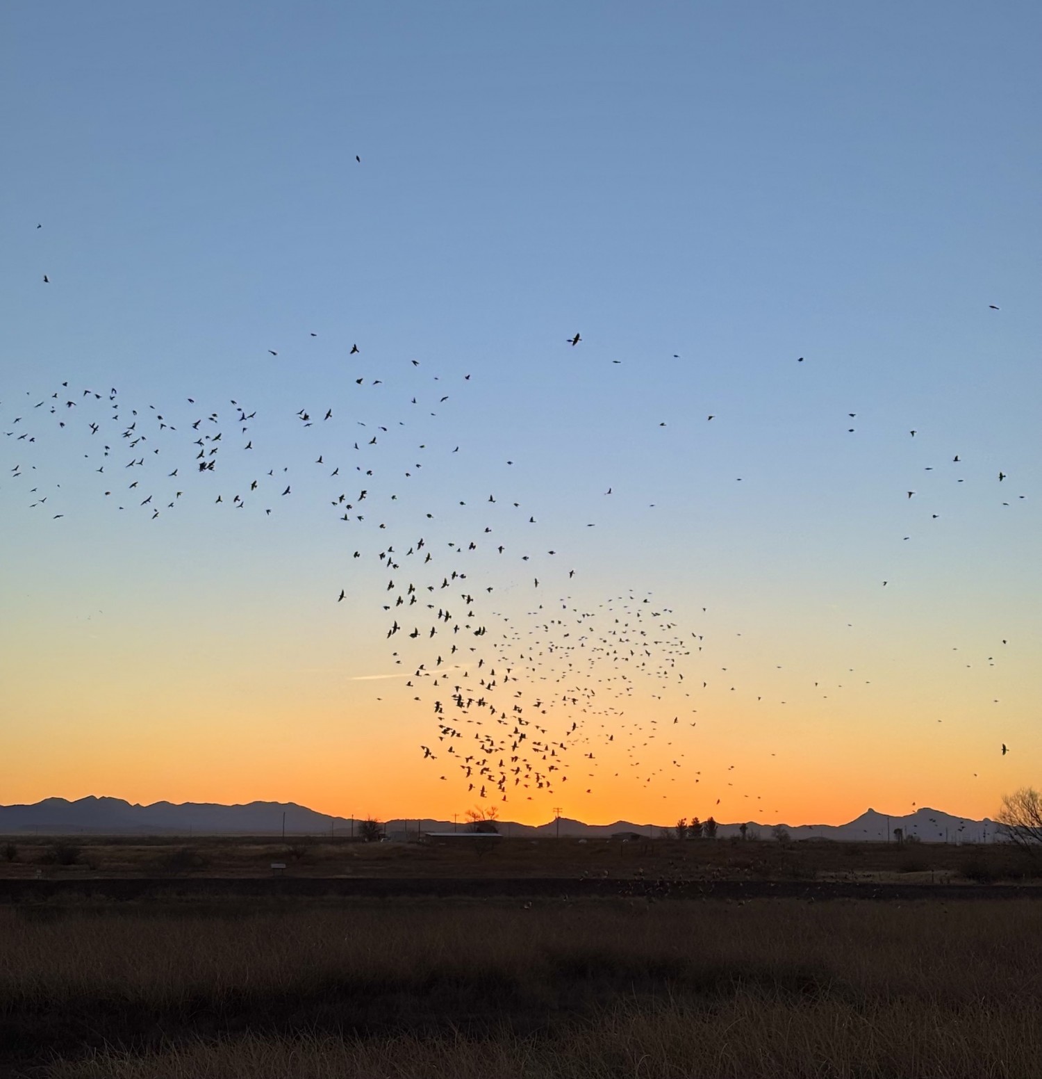 Whitewater Draw; Bisbee, AZ